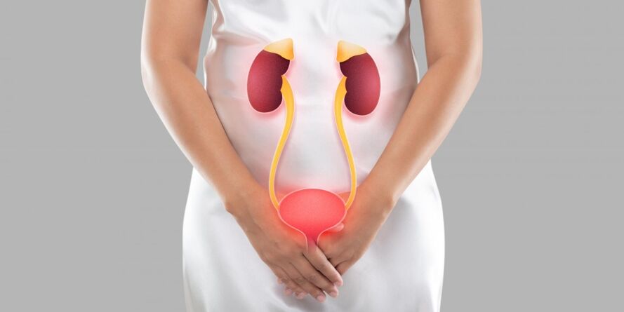 Female cystitis is an inflammation that occurs in the tissues of the bladder